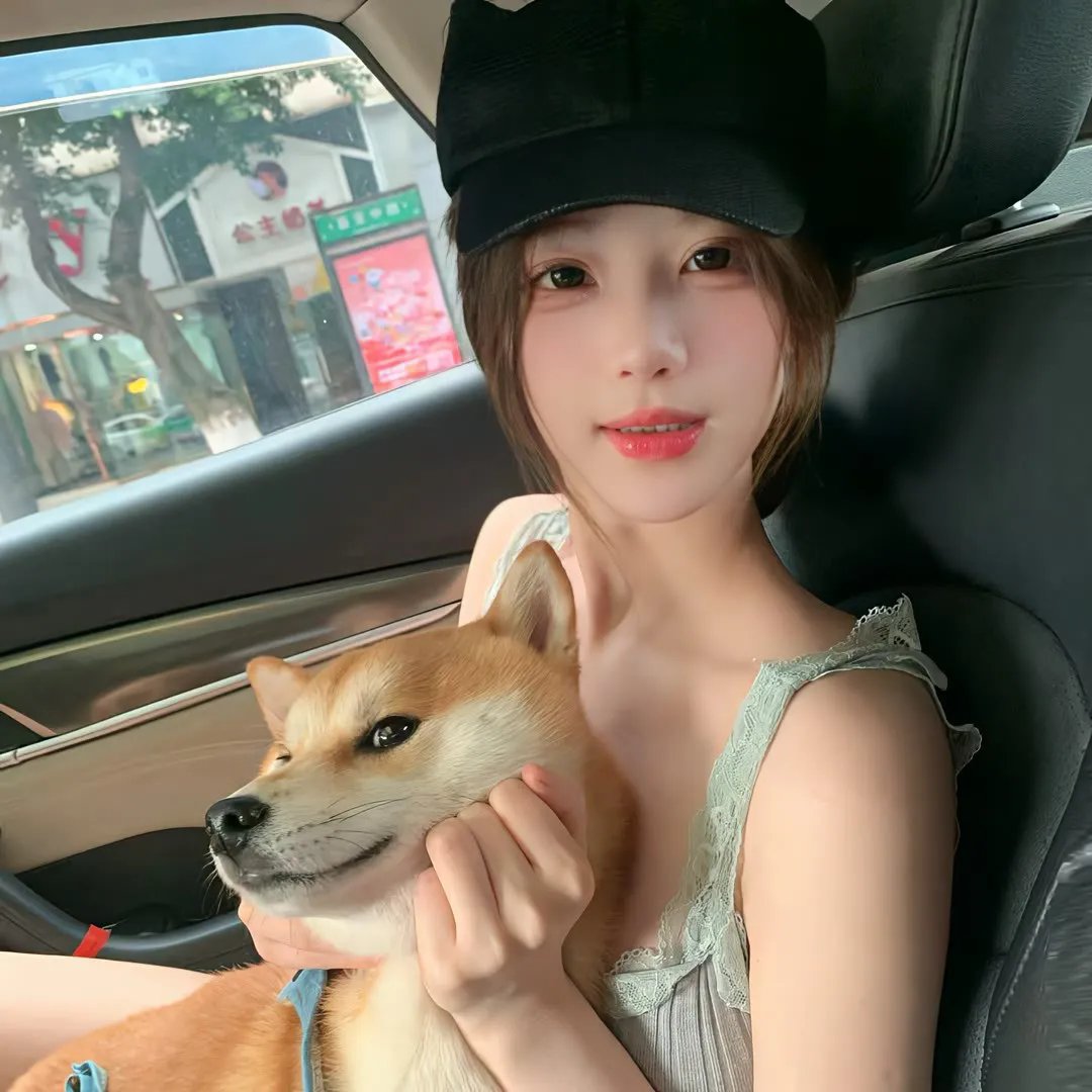 胡狼来了
